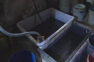 東莞紙制品廠偷排廢水被查封，生態(tài)資源監(jiān)測發(fā)出警示